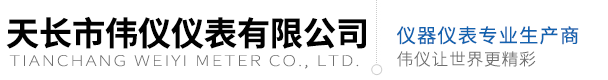 天長市偉儀儀表有限公司